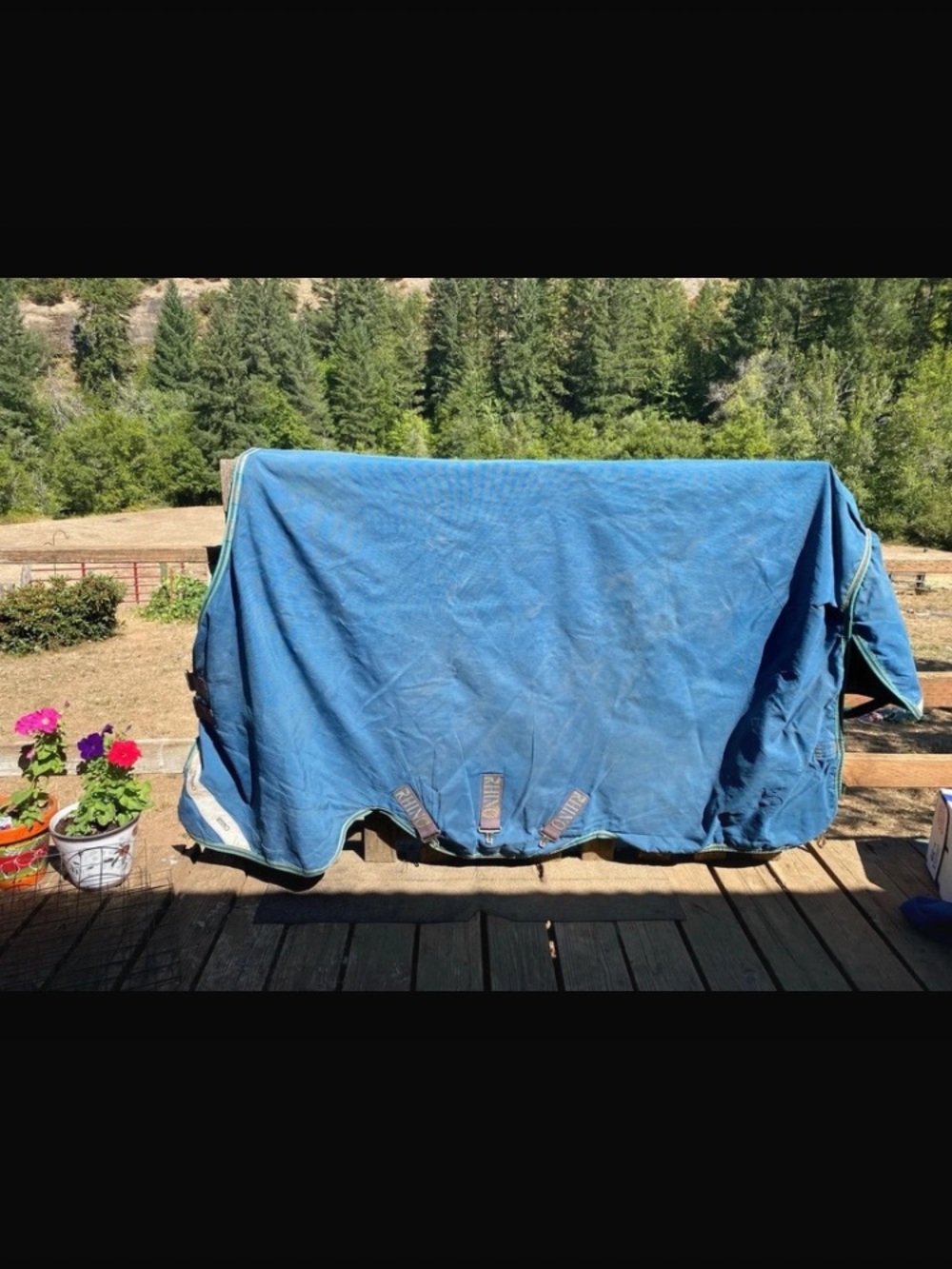 Rhino Original waterproof turnout blanket rug horseware ireland 75” no fill